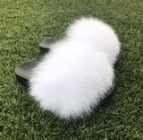 White Pom