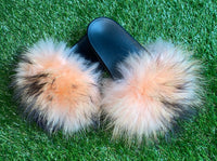 Peach Pom