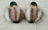 Neapolitan Pom