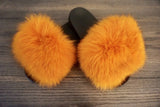 Orange Pom