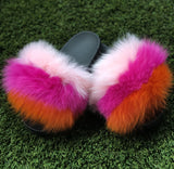 Sherbet Pom